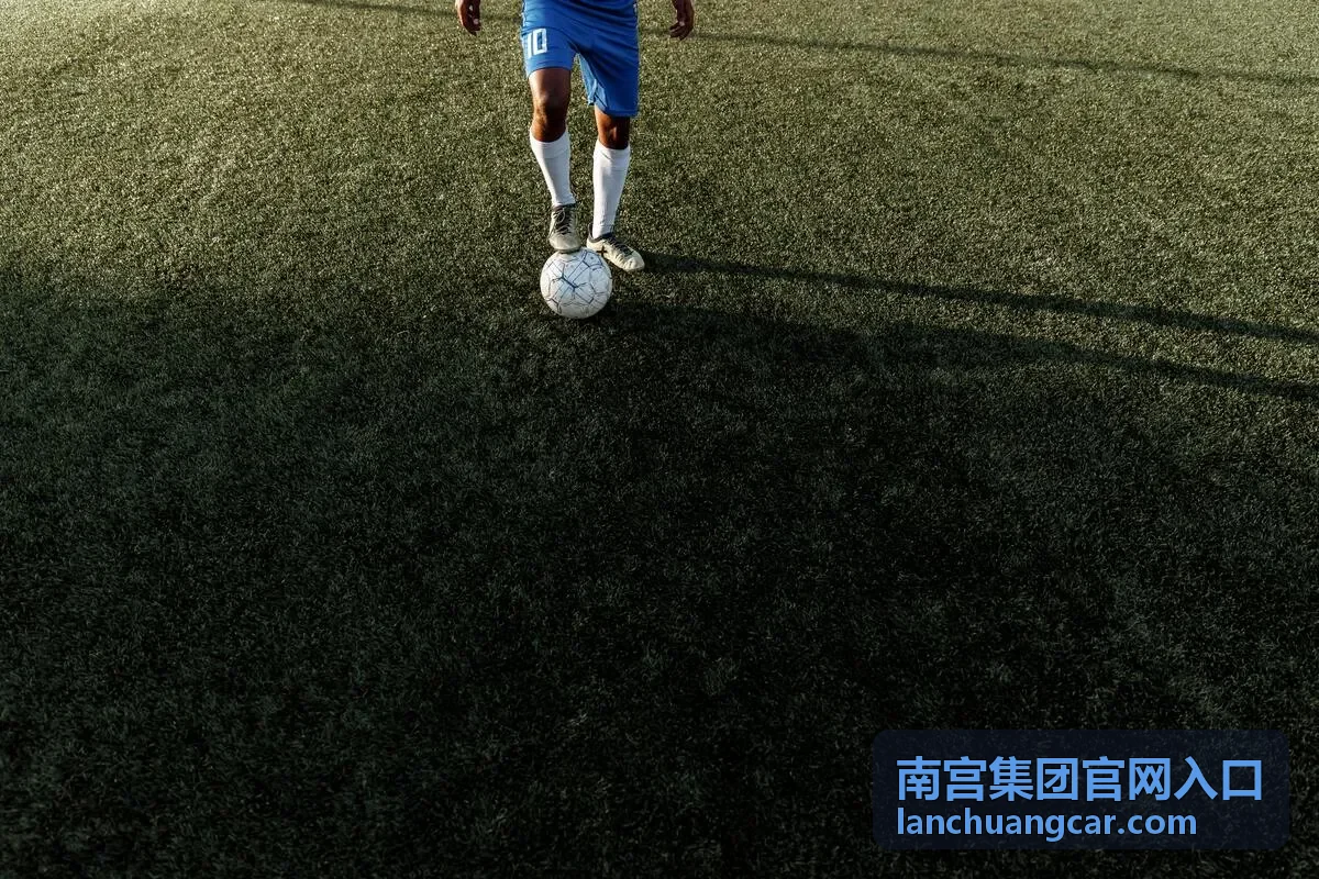 南宫集团官网入口会员服务与数字平台板块展示图